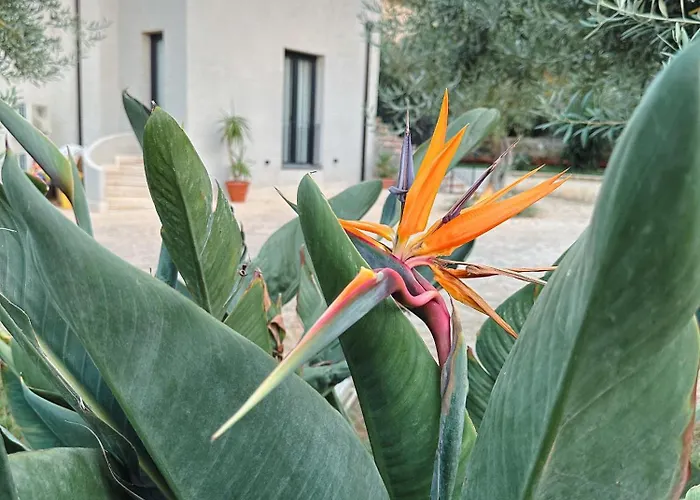 Dimora Harmonia 3* Carini