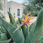 Dimora Harmonia 3* كاريني